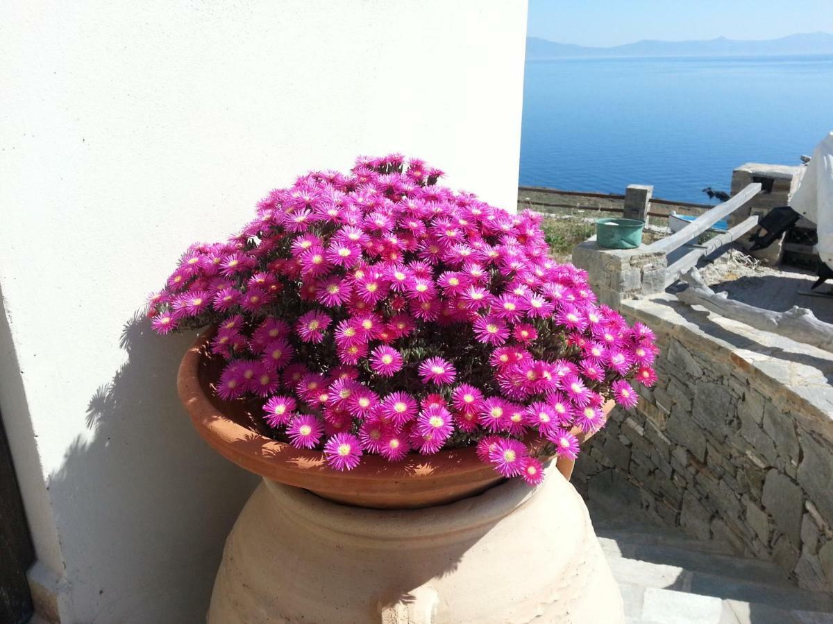 Aegean View - Seaside Apartment In Syros Azolimnos Dış mekan fotoğraf